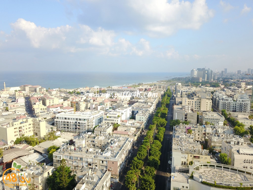 jamal basha tsterre (10).JPG